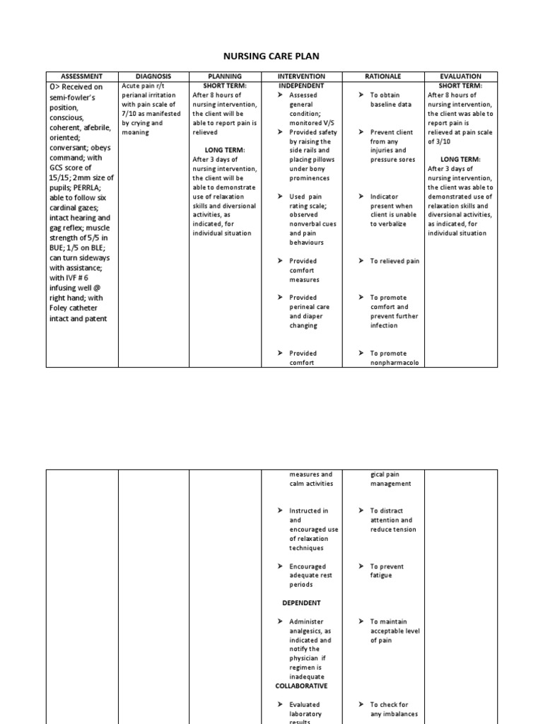 Nursing Care Plan | PDF | Pain | Nursing
