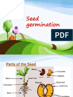 Seed Germination