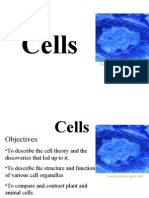 Cells2008 2009