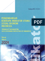 Socio Economic Indicators Indonesia