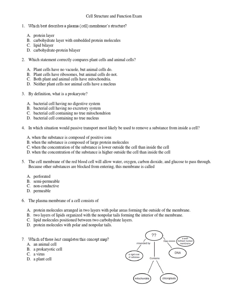 Cell Structure And Function Exam Review Pdf Cell Biology Cell