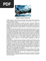 IDEOPLASTIA - Criações Fluídicas e Ideoplastia