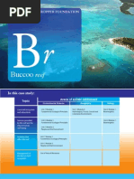 Download Buccoo Reef Case Study by The Cropper Foundation SN19552681 doc pdf