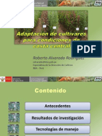 Adaptacion de Cultivares Para Condiciones de Costa Central.