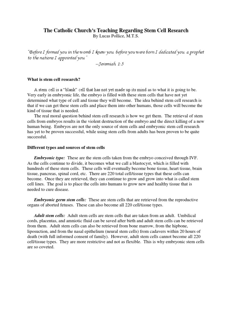 Catholic Church Teaching Pdf Stem Cell Embryonic Stem Cell