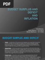 Budget Surplus and Deficit
