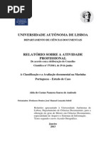 Relatório_ Atividade_Profissional.pdf