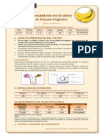 Abonamiento en El Cultivo de Banano Organico