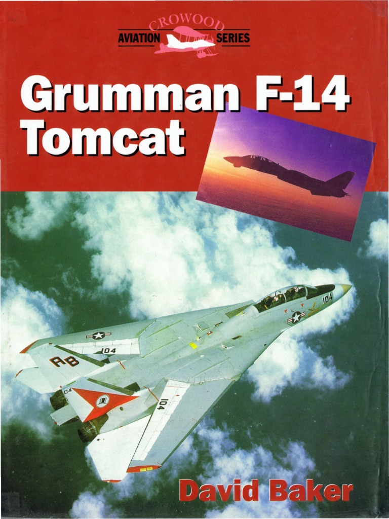 Grumman F-14 Tomcat PDF Military Technology Military Science bild
