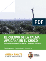 El Cultivo de La Palma Africana en El Choco Legalidad Ambiental Territorial y Derechos Humanos