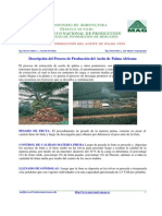 PROCESO DE PRODUCCIÓN DEL ACEITE DE PALMA 2006