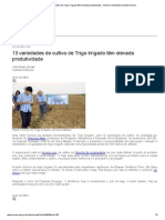 13 variedades de cultivo de Trigo Irrigado têm elevada produtividade __ Governo do Estado de Mato Grosso