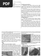 Download Bahan Penyuluhan Hama BW by rahmaniaa SN19562131 doc pdf