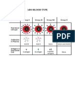 Abo Blood Type