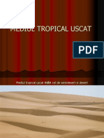 Mediul Tropical Uscat de Desert