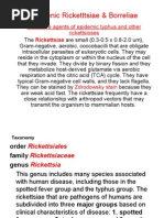 Download Microbiology Lecture - 10 Rickettsiae  Borreliae by Chris Queiklin SN19590899 doc pdf