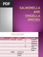 Download Microbiology Lecture - 12 Salmonella  Shingella by Chris Queiklin SN19590924 doc pdf