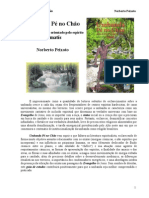 umbanda_p_no_cho_-_ramatis.pdf