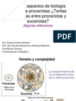 Taller Castro PDF