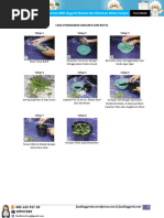 Download Ebook Cara Menanam Anggrek Botol  Perawatannya - JualAnggrek Com 2013 by Plasa Anggrek SN196009936 doc pdf