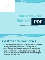 Infecções Virais Gastrointestinais