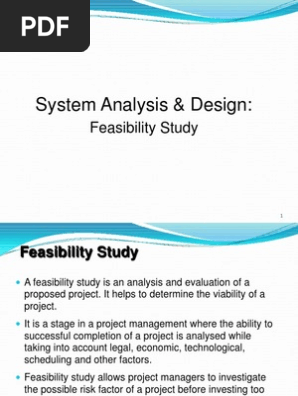 Feasibility Study