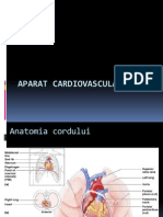 Sistemul Cardiovascular