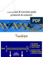 Transkripsi & Translasi Pada Prokariot & Eukariot