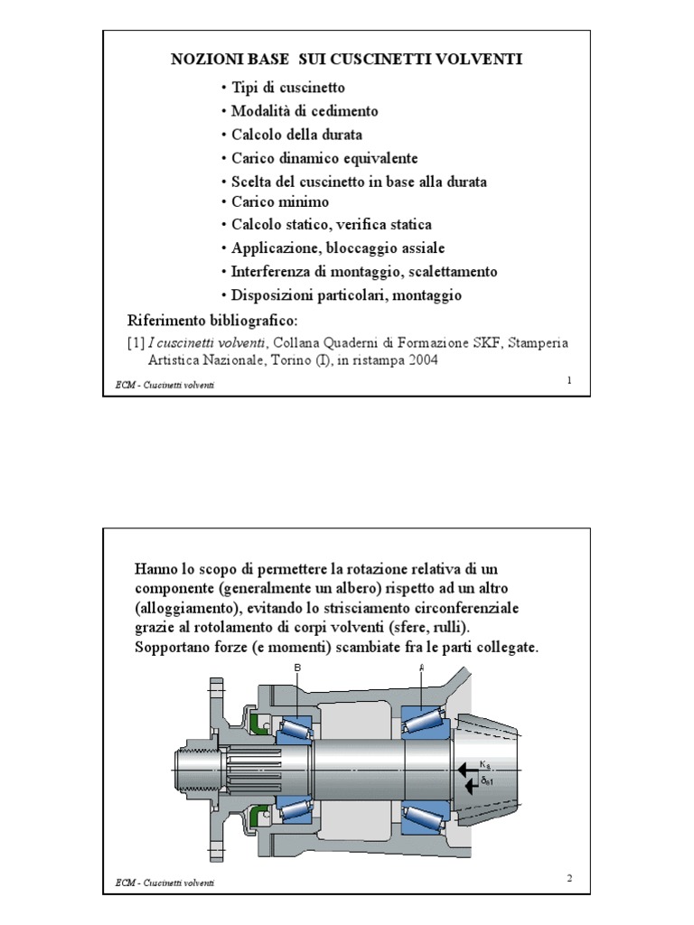 Dispense Elementi Costruttivi Delle Macchine - 7 Cuscinetti | PDF