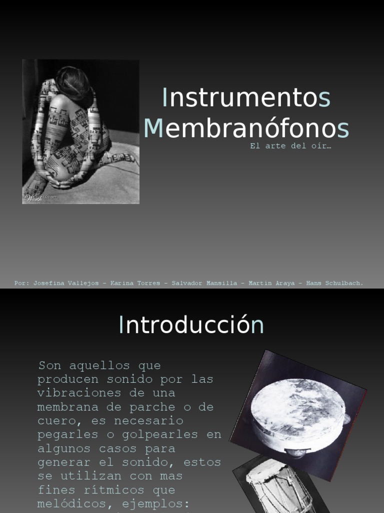 Ejemplos de Instrumentos Membranófonos | PDF | Ritmo y medidor ...