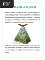 Download Grassland Ecosystem by Ravi Joshi SN196153453 doc pdf