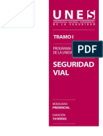 PROGRAMA_SEGURIDAD_VIAL_DIG.pdf