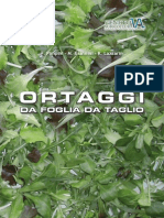 Ortagi Da Foglia Da Taglio Rucola