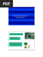 Conceitos Em Ecologia e Ecossitemas