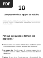 10. Compreendendo as Equipes de Trabalho