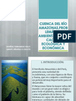 CUENCA DEL RÍO AMAZONAS,PROBLEMÁTICA AMBIENTAL,ZONIFICACIÓN ECOLOGICA Y ECONÓMICA actual