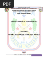 APOSTILA SISTEMA NACIONAL DE SEGURANÇA PÚBLICA - CFSD 2013