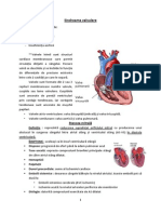 Curs 7 Sindroame Valvulare