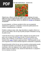 Alchimia Emotionala | PDF