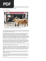 Pessoas não humanas