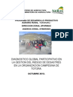 DGP Totora PDF