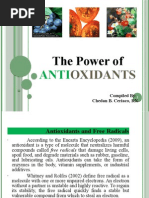 Download The Power of Antioxidants by Chedan B Ceriaco RN by Chedan B Ceriaco SN19632401 doc pdf