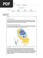 The Internal Organization of Cells