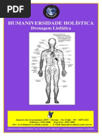 Download Apostila - Drenagem Linftica - 2011pdf by Fernando Corra Guedes SN196362163 doc pdf