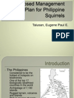 Proposed Management Plan For Philippine Squirrels