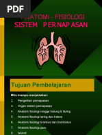 Download Anfis Respirasi by Pius A L Berek SN19639052 doc pdf