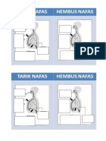 Peranan Tulang Rusuk Dan Diafragma Semasa Bernafas