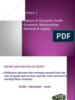 Nature of Economic Profit - Economic Relationships - Demand & Supply