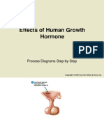 Effects of Human Growth Hormone: Process Diagrams Step-by-Step