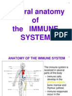 General Anatomy of The Immune System